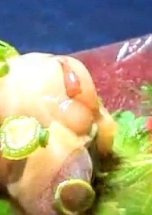 【楽チン】タコわさび♪【おつまみ】-レシピのメイン写真