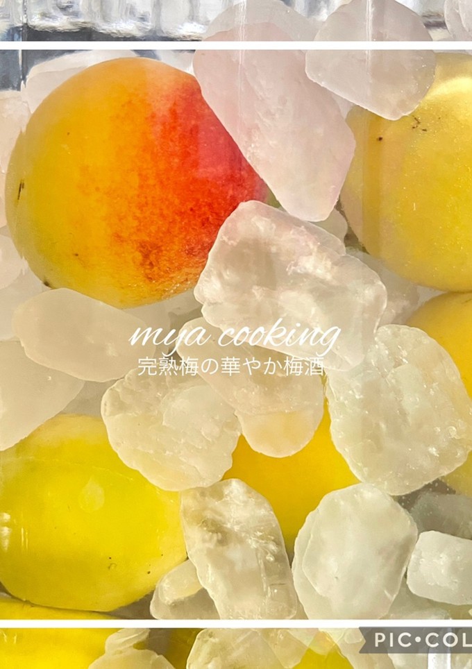 青梅〜完熟梅で！華やか完熟梅酒2022-レシピのメイン写真