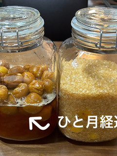 ザラメで作る梅シロップ-レシピのメイン写真