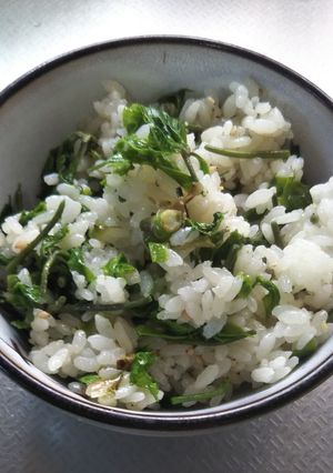 コシアブラ御飯-レシピのメイン写真