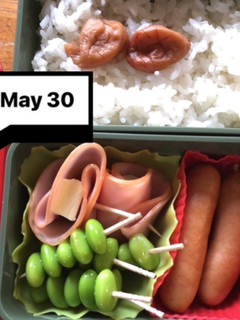 ヤツと私の弁当たまに娘 5/30-レシピのメイン写真