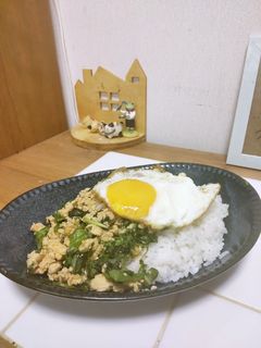 エスニックごはん!ガパオライス♡-レシピのメイン写真