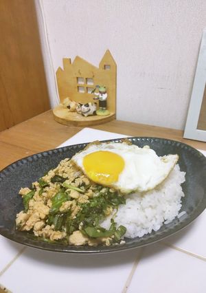 エスニックごはん！ガパオライス♡-レシピのメイン写真
