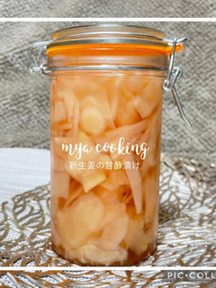 大人の味!生姜の甘酢漬け(ガリ)-レシピのメイン写真