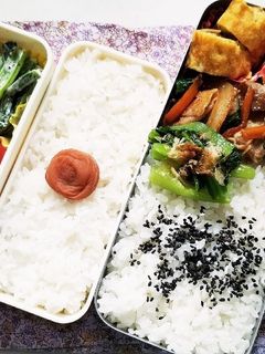 野菜炒め弁当(5.31)-レシピのメイン写真