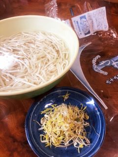 シャキシャキもやし-レシピのメイン写真