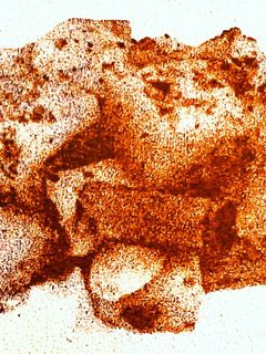 【給食メニュー】じゃがいもの磯がらめ-レシピのメイン写真