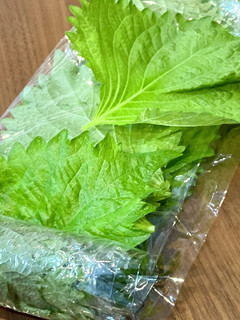 大葉 シソ 冷凍保存-レシピのメイン写真