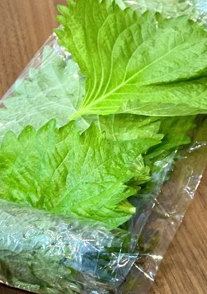 大葉 シソ 冷凍保存-レシピのメイン写真