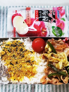 豚肉ピーマン炒め弁当(6.2)-レシピのメイン写真