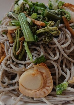 ベビーホタテと山菜の冷やしかけソバ-レシピのメイン写真