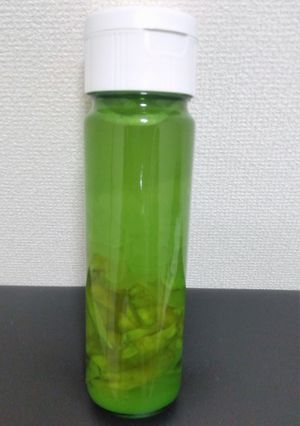 大人のジンジャーエール-レシピのメイン写真