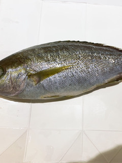 もう飛び散らない!簡単魚のウロコ取り-レシピのメイン写真