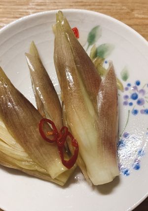 みょうがの漬物-レシピのメイン写真