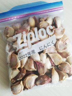 ** ニンニクの保存 **-レシピのメイン写真