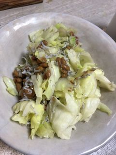 納豆炒め キャベしらすver.-レシピのメイン写真
