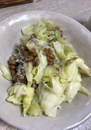 納豆炒め　キャベしらすver.-レシピのメイン写真