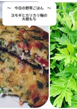 ヨモギとカリカリ梅の大根餅-レシピのメイン写真