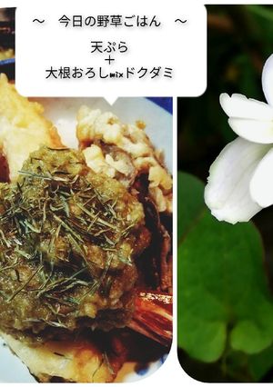 ドクダミmixの大根おろし-レシピのメイン写真