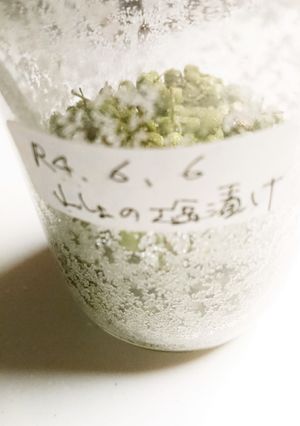 山椒の塩漬け-レシピのメイン写真