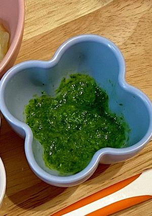 離乳食初期★ブロッコリー-レシピのメイン写真