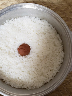 夏のご飯、お弁当に梅ご飯-レシピのメイン写真