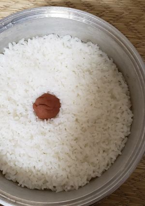 夏のご飯、お弁当に梅ご飯-レシピのメイン写真