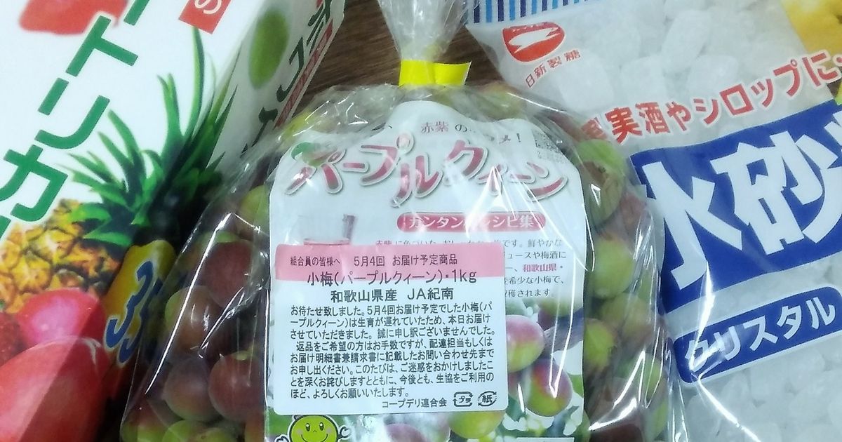 紫エキスが出るでる小梅 10kg 紅いシロップや紅い梅酒ができます 青梅