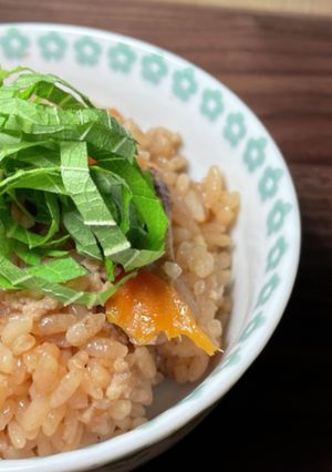 おかわり！ごぼうとひき肉の炊き込みご飯-レシピのメイン写真