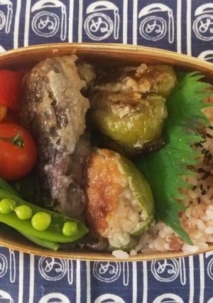 ☆わっぱ弁当生活397-レシピのメイン写真