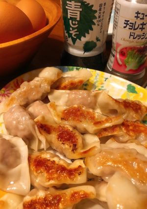 簡単手作り餃子　青じそドレッシングで-レシピのメイン写真