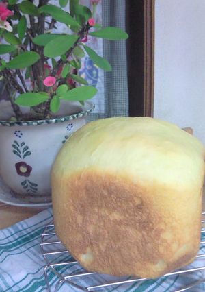 ふわふわＮＯ１♪たまごの食パン(ＨＢ)-レシピのメイン写真