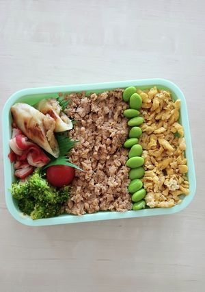 高校生のお弁当 2022.6.9-レシピのメイン写真