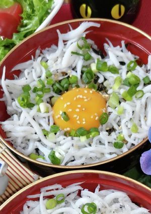 簡単【釜揚げしらす丼】モトイ釜揚げ白魚丼-レシピのメイン写真