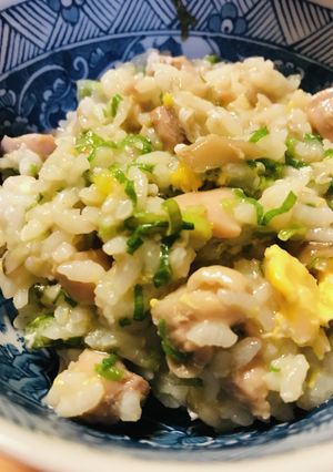 雑炊の素活用●鶏＆キノコのネギ玉子雑炊-レシピのメイン写真
