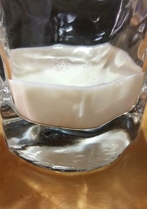 ヤクルトラッシー　シロタ株　ガゼイ　-レシピのメイン写真