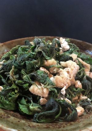 苧麻（からむし）と油揚げの炒り煮　雑草-レシピのメイン写真