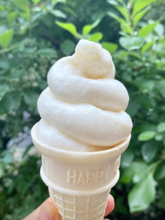 生クリーム不要☆牛乳で作るソフトクリーム-レシピのメイン写真