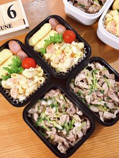 豚こまと豆苗の旨塩炒め弁当 22/6.6-レシピのメイン写真