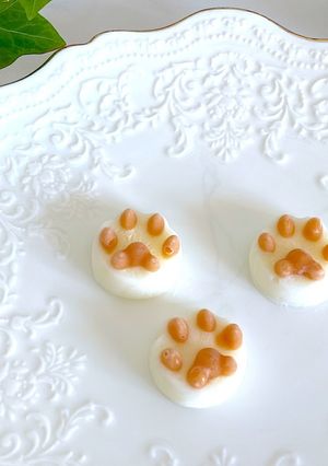 簡単！ちゅーる！ヨーグルト！猫用アイス！-レシピのメイン写真