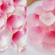琥珀糖☆きらきらピンク色の砂糖菓子☆