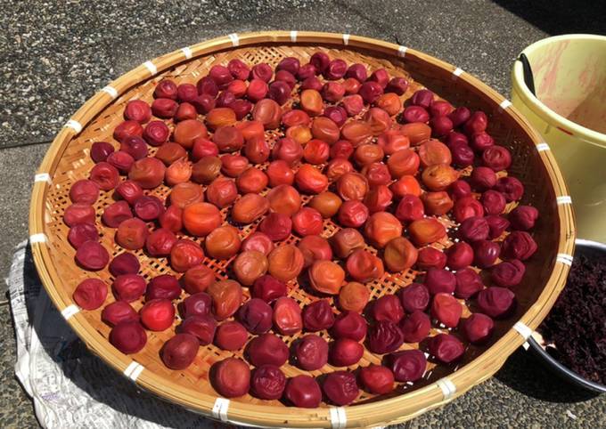 梅干し6kg 赤紫蘇3kg 枝付き赤紫蘇6kg（梅干15kg用）（送料込み）2024