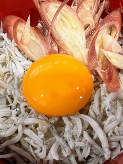 釣れなかった時のお土産シラス丼-レシピのメイン写真