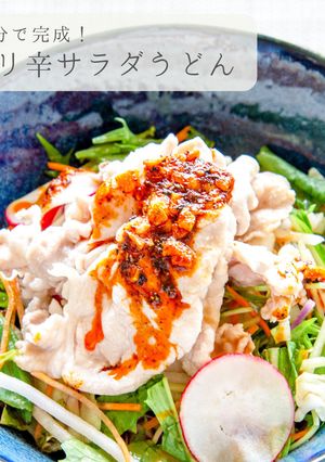 10分で完成★ピリ辛サラダうどん-レシピのメイン写真