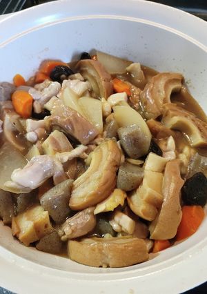 トロリ鶏肉の具だくさん煮-レシピのメイン写真