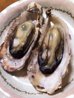蒸し牡蠣-レシピのメイン写真