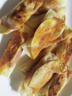 残った餃子の皮-レシピのメイン写真