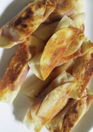 残った餃子の皮-レシピのメイン写真