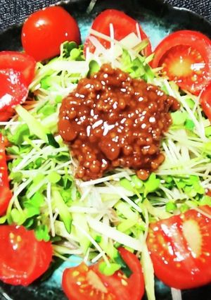 おとなの薬味サラダ-レシピのメイン写真