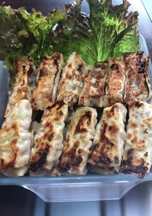豚こま肉でかんたん餃子-レシピのメイン写真